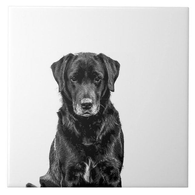 Cute Labrador Black Dog Puppy Pet Ceramic Tile (Front)