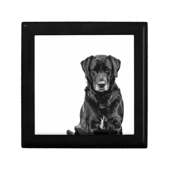 Cute Labrador Black Dog Puppy Pet Gift Box (Front)