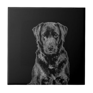 Cute Labrador Black Dog Puppy Pet Sketch Ceramic Tile