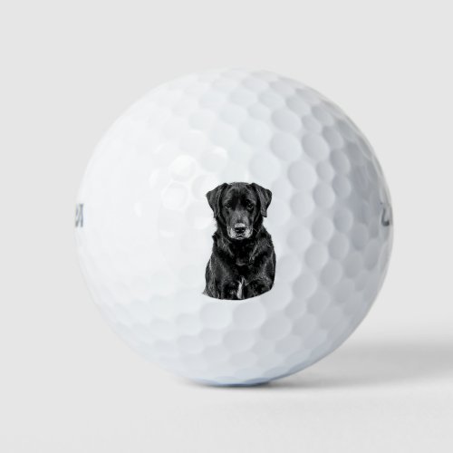Cute Labrador Black Dog Puppy Pet Sketch Golf Balls