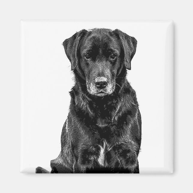 Cute Labrador Black Dog Puppy Pet Sketch Magnet (Front)