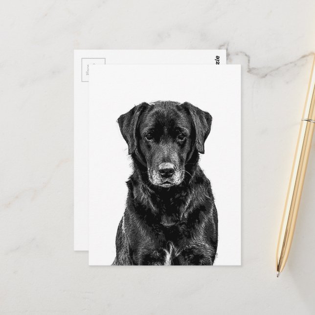 Cute Labrador Black Dog Puppy Pet Sketch Postcard (Front/Back In Situ)