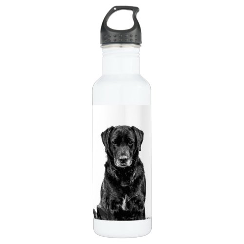 Cute Labrador Black Dog Puppy Pet Sketch Stainless Steel Water Bottle
