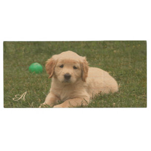 Cute Labrador Puppy Dog & Monogram Wood Flash Drive