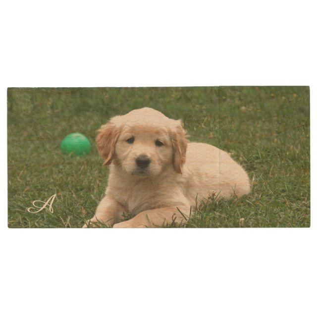 Cute Labrador Puppy Dog & Monogram Wood Flash Drive (Front)