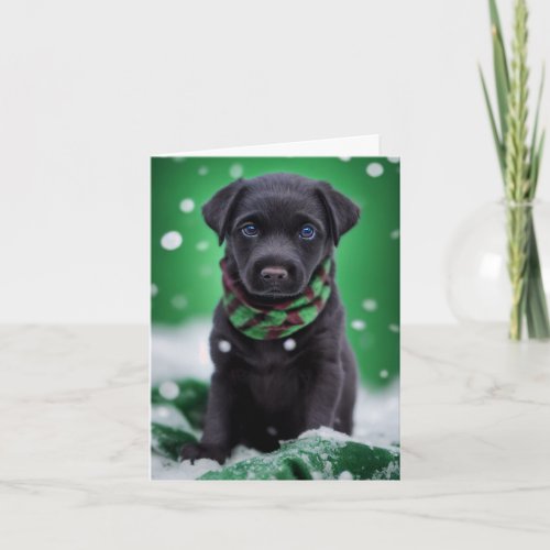 Cute Labrador Puppy in a Green Winter Scarf Card