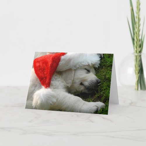Cute labrador puppy with x_mas hat holiday card
