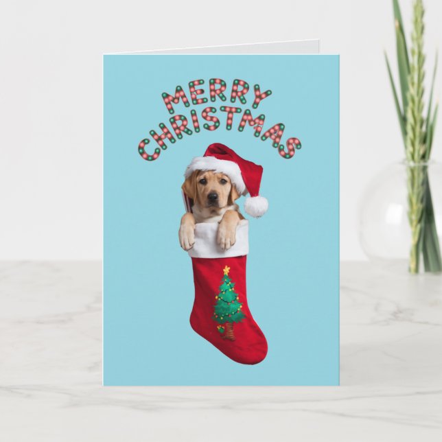 Cute Labrador Retriever Dog Christmas  Card (Front)