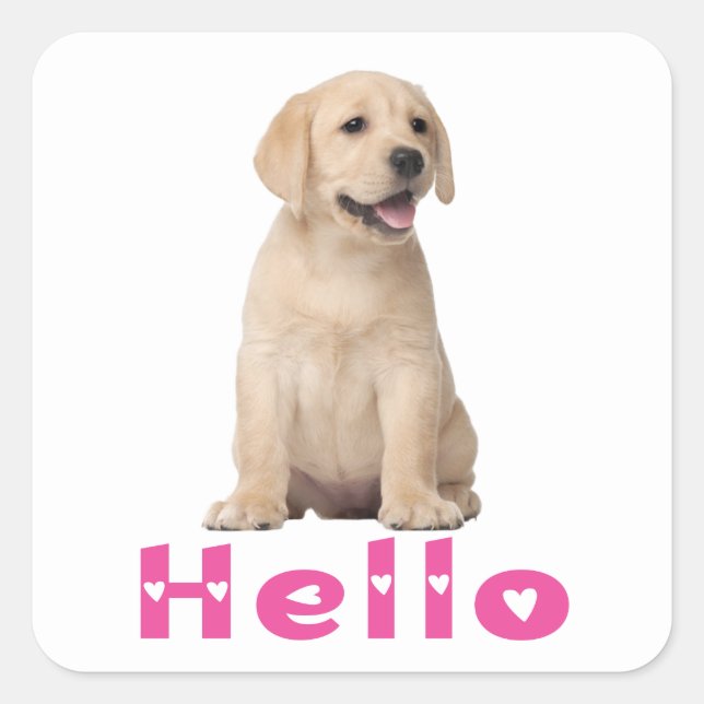 Cute Labrador Retriever Puppy Dog Yellow Lab Hello Square Sticker (Front)