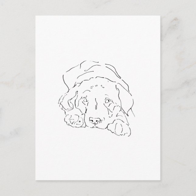 Cute Labrador Retriever Wall Art, Poster Drawing Postcard (Front)