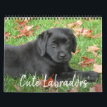 Cute Labradors - Black Labrador Retriever Dog Calendar<br><div class="desc">Enjoy 12 months of the cutest Black Labrador's! 
Every month there's a new labrador dog to enjoy. COPYRIGHT © 2020 Judy Burrows,  Black Dog Art - All Rights Reserved</div>