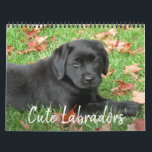 Cute Labradors - Black Labrador Retriever Dog Calendar<br><div class="desc">Enjoy 12 months of the cutest Black Labrador's! 
Every month there's a new labrador dog to enjoy. COPYRIGHT © 2020 Judy Burrows,  Black Dog Art - All Rights Reserved</div>