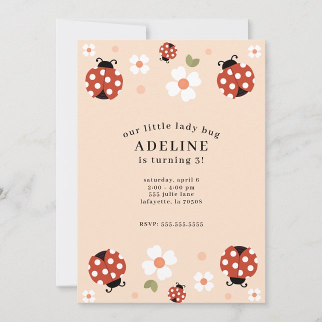 Cute Lady Bug Birthday Party Invitations (Front)