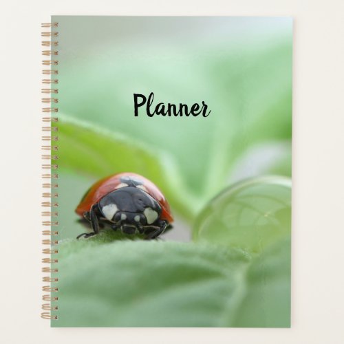 Cute Ladybird Ladybug Planner