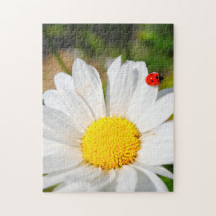 Cute Ladybird On Marguerite Daisy Flower Pretty Jigsaw Puzzle