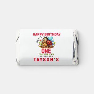 Cute Ladybug 1st Birthday Bug Theme Party Hershey's Miniatures