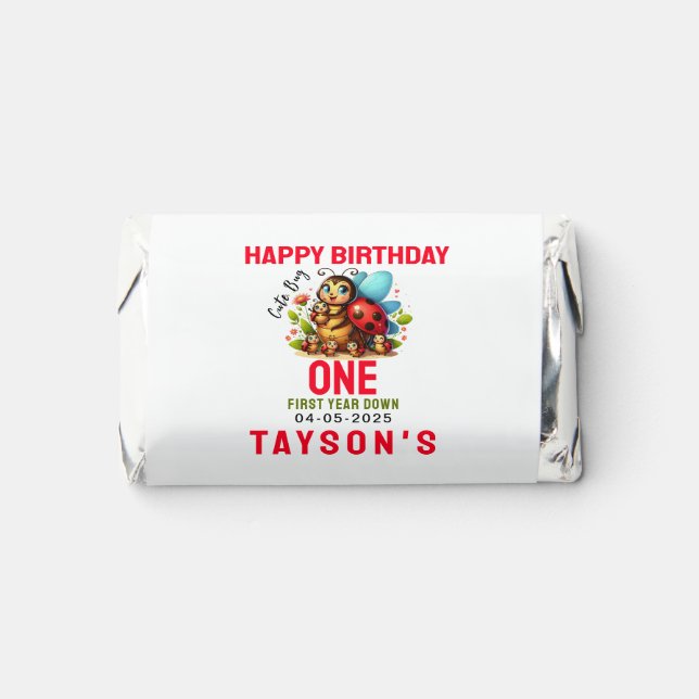 Cute Ladybug 1st Birthday | Bug Theme Party Hershey's Miniatures (Front)