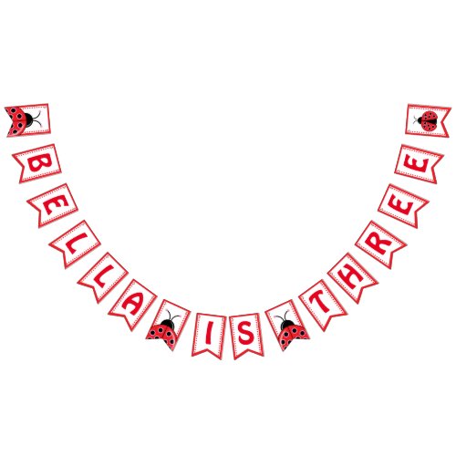 Cute Ladybug birthday Bunting Flag for Girl