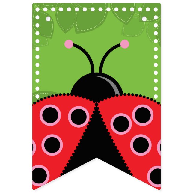 Cute Ladybug Birthday Bunting Flags/Banner Flags (First Flag)
