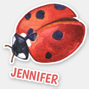 Cute Ladybug Cartoon - Personalized Kids' Sticker