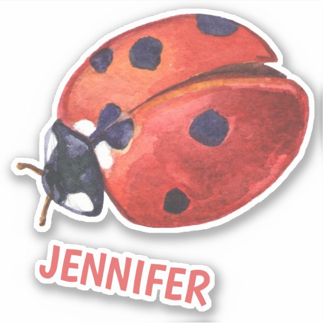 Cute Ladybug Cartoon - Personalized Kids' Sticker (Front)