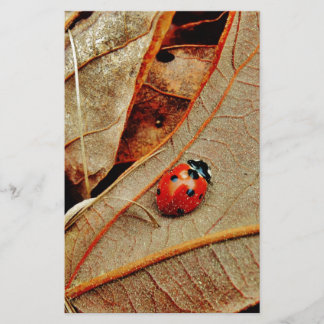 cute Ladybug costume personalize name gift