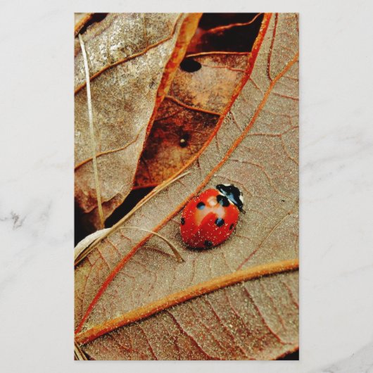 cute Ladybug costume personalize name gift (Front)