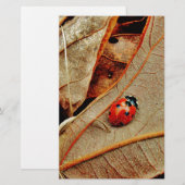 cute Ladybug costume personalize name gift (Front/Back)