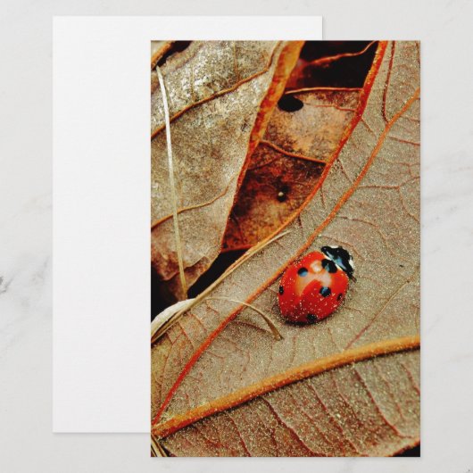 cute Ladybug costume personalize name gift (Front/Back)