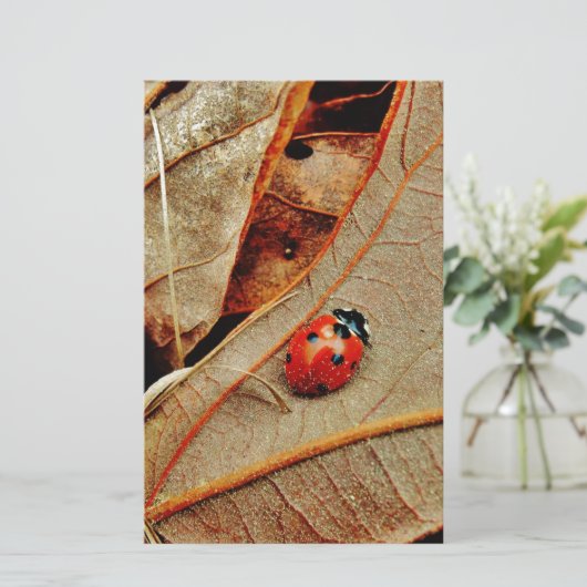 cute Ladybug costume personalize name gift (Standing Front)