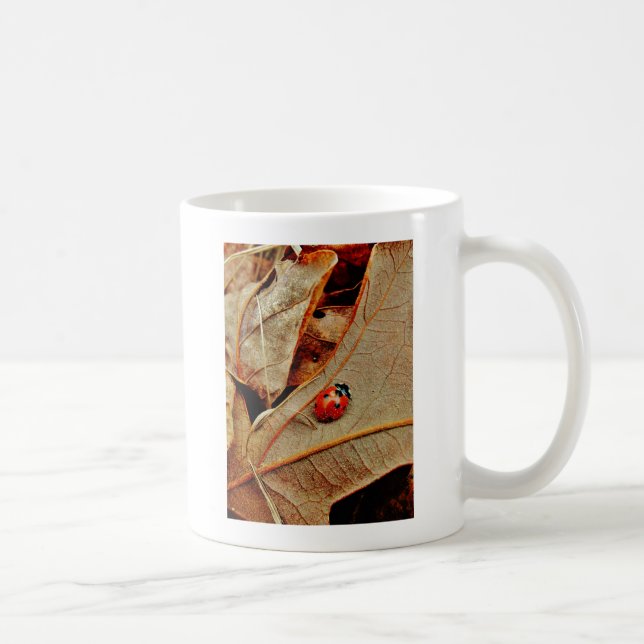 cute Ladybug costume personalize name gift Coffee Mug (Right)