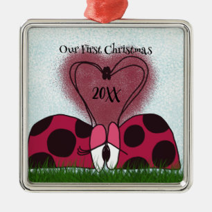 Cute Ladybug Couple Metal Ornament