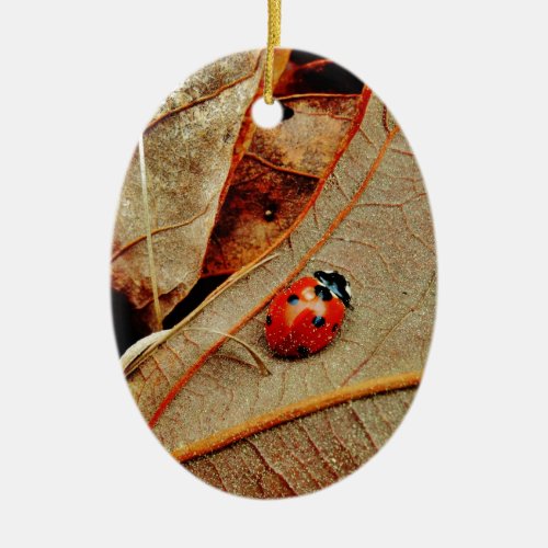 cute Ladybug custom personalize name gift Ceramic Ornament