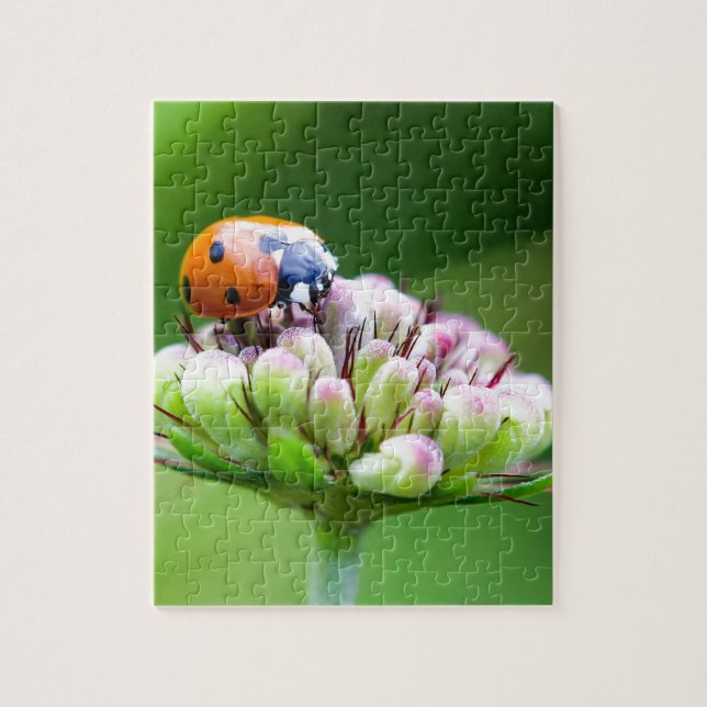 Cute Ladybug Jigsaw Puzzle (Vertical)