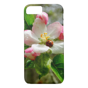 cute Ladybug on white Apple blossom flowers iPhone 8/7 Case