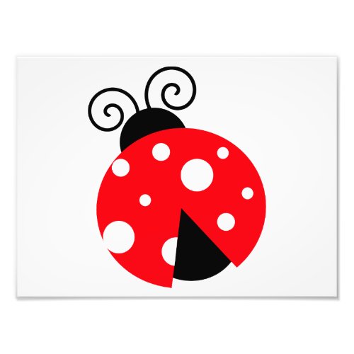 Cute Ladybug Photo Print