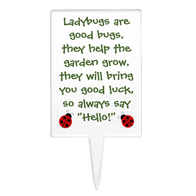 Cute Ladybug Poem Little Garden Sign - Soil Topper (Front)