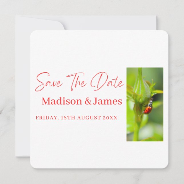 Cute ladybug Script Save the date  invitation (Front)