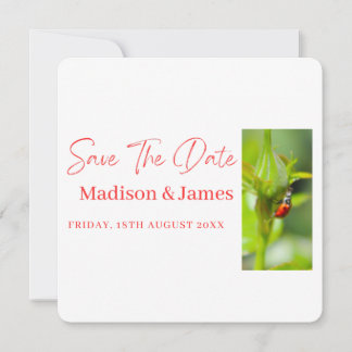 Cute ladybug Script Save the date  invitation