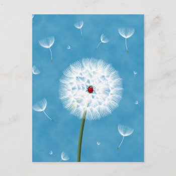 Cute Ladybug Sitting On Top Of A Dandelion Postcard by InovArtS at Zazzle