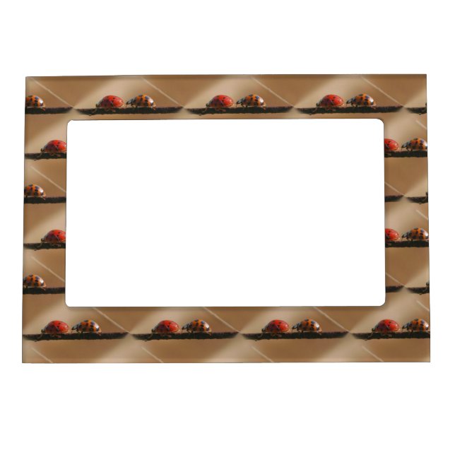 Cute Ladybugs Nature Magnetic Frame (Front)
