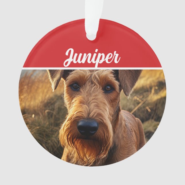 Cute Lakeland Terrier Dog Holiday Christmas Photo Ornament (Front)