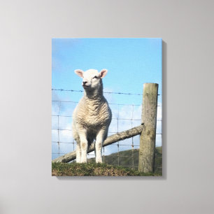 CUTE LAMB CANVAS PRINT