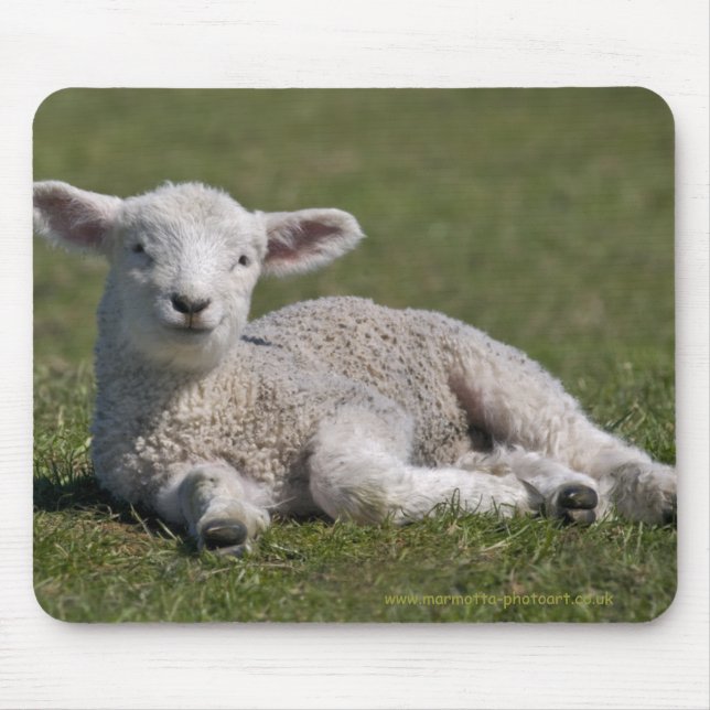 Cute Lamb Mousemat Mouse Pad (Front)