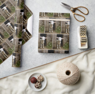 Cute Lamb Standing In Barn Doorway Wrapping Paper