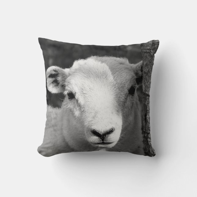 CUTE LAMB THROW PILLOW (Front)