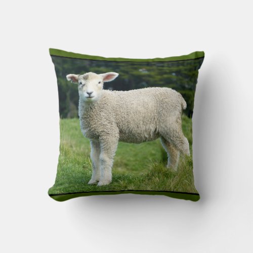 Cute Lamb with Muddy Face Playing in the Meadow Throw Pillow