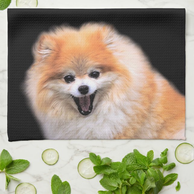 Cute Laughing Pomeranian Dog Kitchen Towel (Folded)