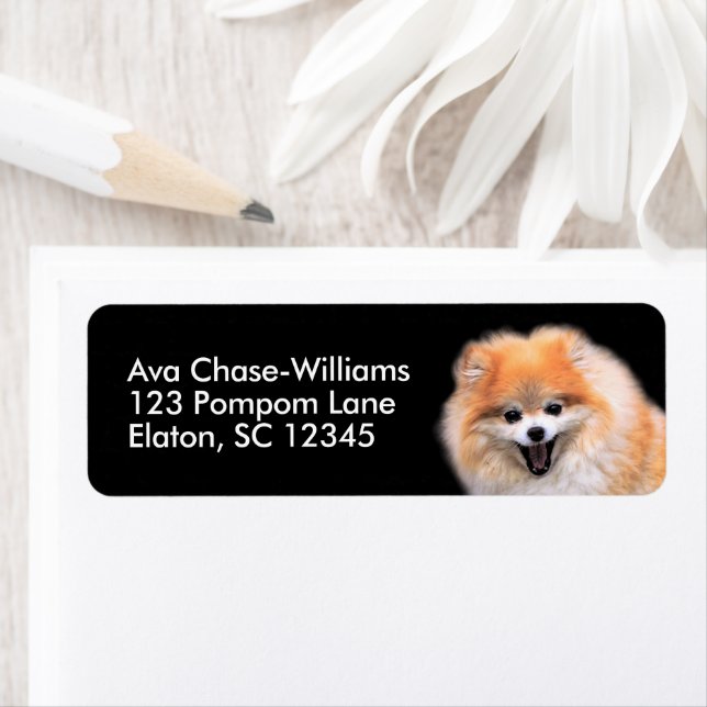 Cute Laughing Pomeranian Dog Label (Insitu)