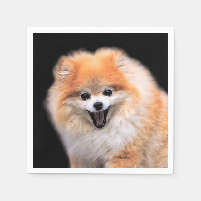 Cute Laughing Pomeranian Dog Napkins (Front)